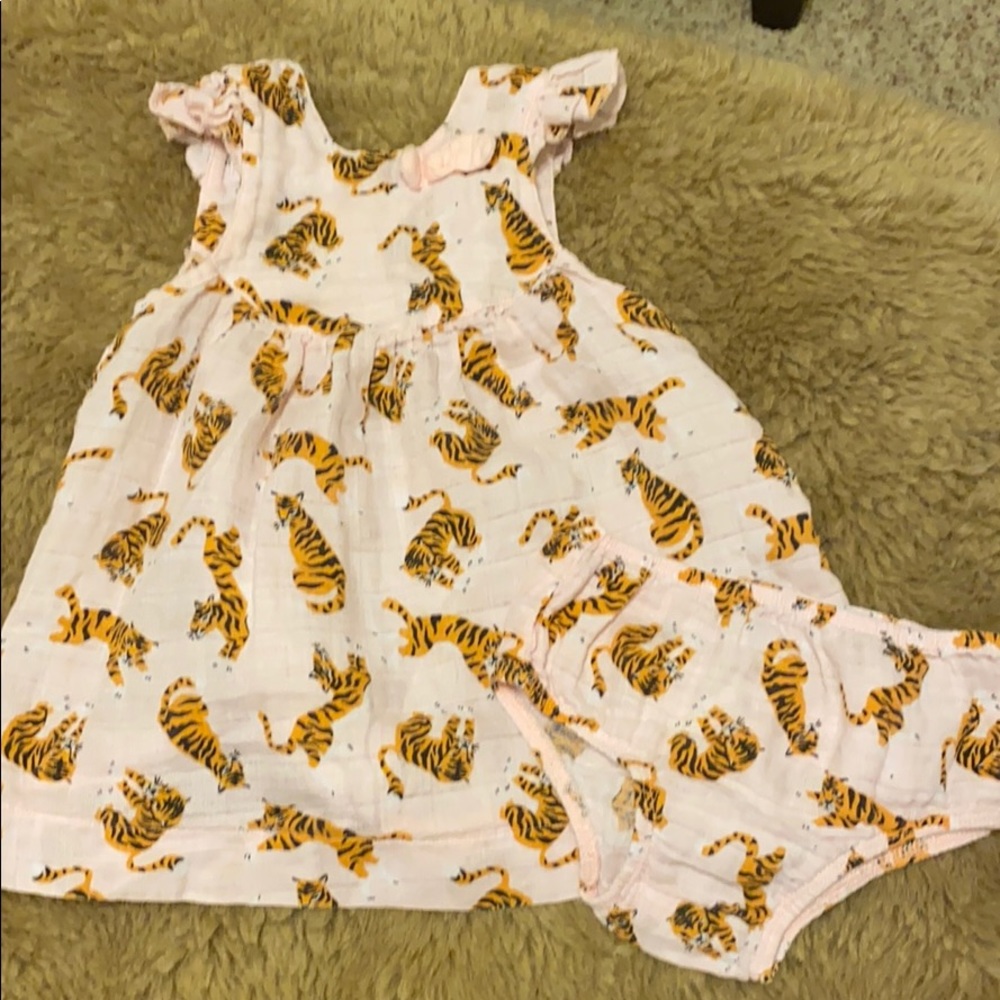 Mud pie tiger dress with two sets of bloomers (6-9 month and 9-12 month)